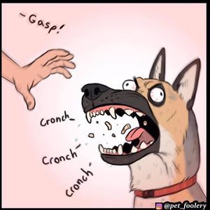 Meet your Posher, Jon